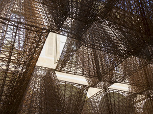 COS x Mamou-Mani - Conifera (6).jpg