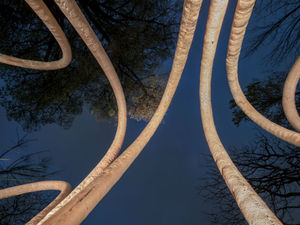 CRA_TheCircularGarden03.jpg