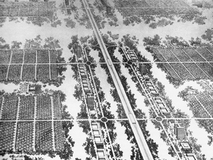 Ludwig_Hilberseimer_6_Decentralized_City_1944.jpg