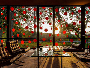 glasshouse4.jpg