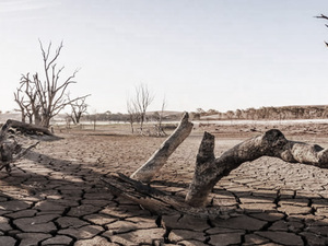 Grave-effects-of-climate-change-on-the-environment.jpg