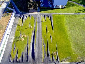 lanscape-sculpture_02.jpg