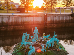 45124-main_2402-2_45124_sc_v2com.jpg