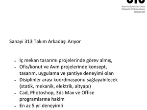 313.jpg