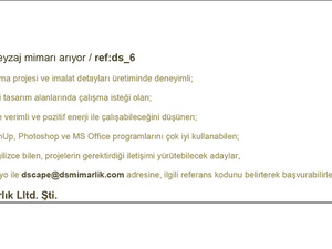 dsmim.jpg