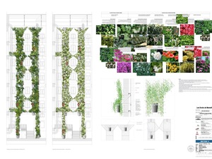 Details - Plants - Courtyard C