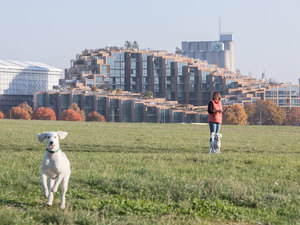 BIG_ST7_79th-and-Park_Image-by-Laurian-Ghinitoiu_02.jpg