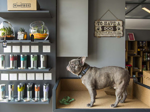 Oney Interior_Wuufbox Cafe (16).jpg.jpeg.jpg