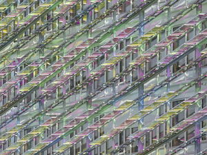 JFA DP ENG1248 edited-1