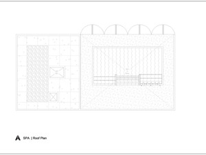 ANARCHITECT_AlFaya_Spa Updated_Roof.jpg