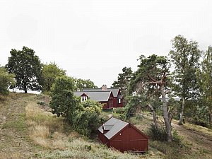 Bakkedraget