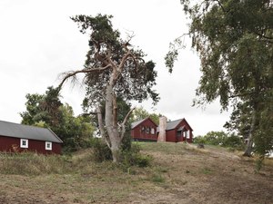 Bakkedraget 02 - Exterior - Cottage and shed - Photo_Laura Stamer.jpg