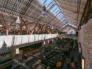 TonuTunnel.com_KOKO_BJT_TT80868.jpg