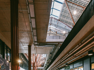 TonuTunnel.com_KOKO_BJT_TT80953.jpg