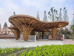 Bambu Bahçe