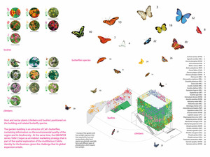 A4_18_FLYING_BUTTERFLIES.jpg