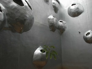 EJHNMC_bulbos_1(JG).jpg