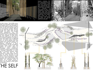 drawing 3_  5226-2329132771605.jpg