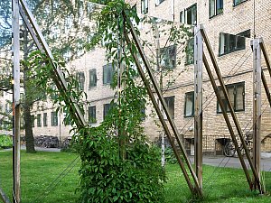 Ejerforeningen Nørrehus