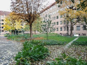 Nørrehus - Transformed garden - Path - Photo_Johansen Skovsted.jpg