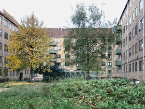 Nørrehus - Utility building in garden 01 - Photo_Johansen Skovsted.jpg