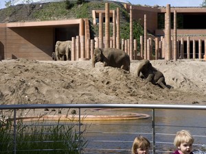 1195_FP288757.jpg