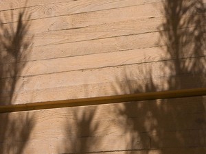 1195_FP288790.jpg
