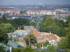 1195_FP316792.jpg
