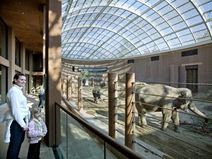 1195_FP316821.jpg