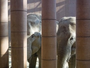 1195_FP316830.jpg