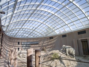 1195_FP316834.jpg