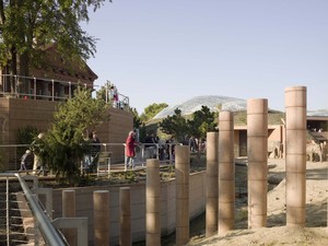 1195_FP316859.jpg