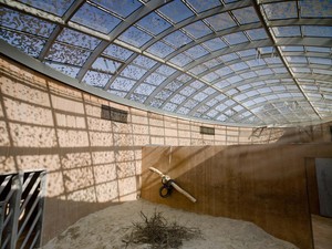 1195_FP316866.jpg