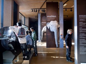 1195_FP316869.jpg