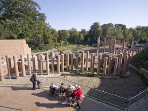 1195_FP316878.jpg