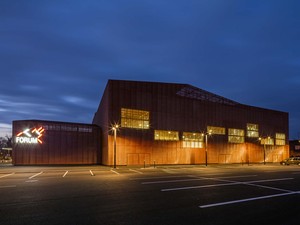 48.Manuelle GAUTRAND_Le Forum_Guillaume Guerin.jpg