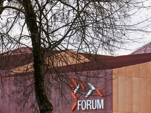 FORUM_ST_LOUIS-019-Luc Boegly.jpg
