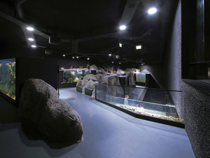 ic_aquarium_3LHD (3).jpg