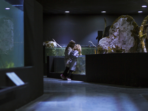ic_aquarium_3LHD (4).jpg