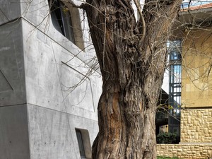 4748_LEB_CE_08.jpg