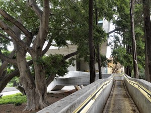 4748_LEB_CE_11.jpg