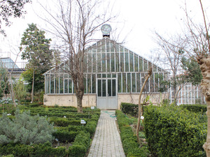 IMG_3082.jpg