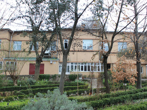 IMG_3085.jpg