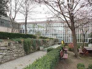 IMG_3090.jpg