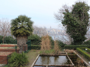 IMG_3093.jpg