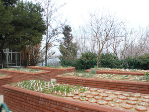 IMG_3095.jpg