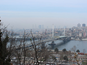 IMG_3106.jpg