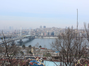 IMG_3107.jpg