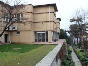 IMG_3123.jpg