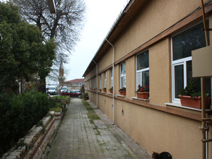 IMG_3135.jpg